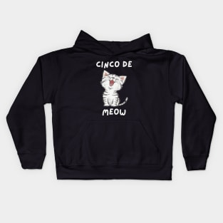 Cinco De Meow Kids Hoodie